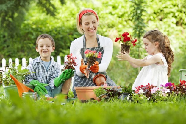 Sempre più vigorosa, con poche cure