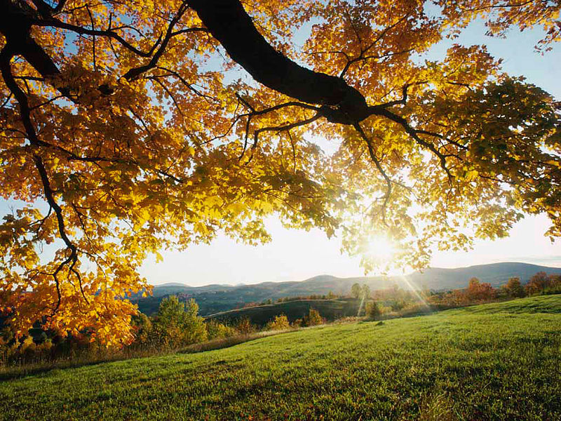 I quattro consigli per vivere un autunno felice (e non solo).