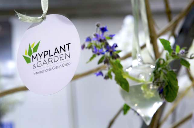 Il mondo delle Petunie al Myplant & Garden 2019